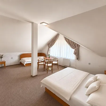 Hotel Casanova Duchcov